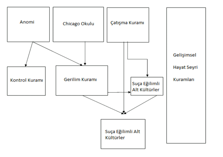 SUÇ - ŞEKİL 01