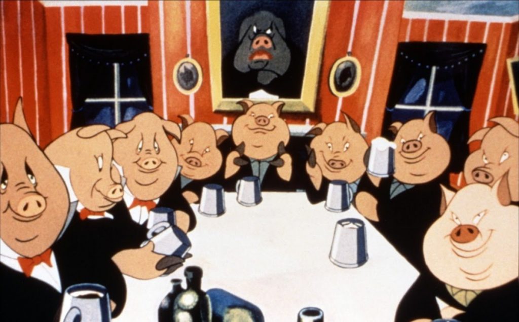 animal-pigs